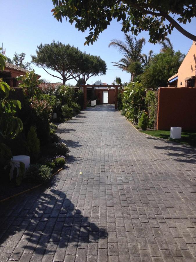 Estudio Con Jardincito Privado Barbacoa Y Piscina Cádiz Exteriör bild
